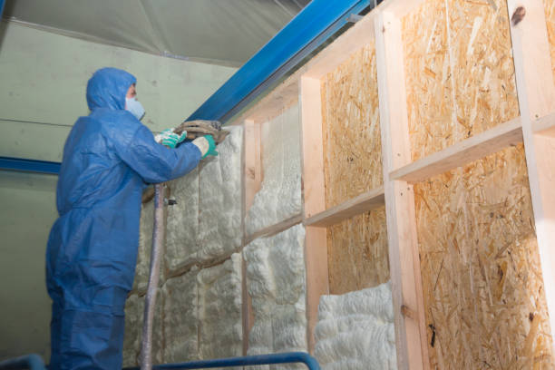 Best Wall Insulation Contractor  in Chelsea, MA
